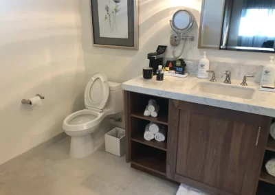 Professional Cleaning Services (1)