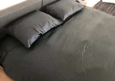 Reliable Home Cleaner (1)